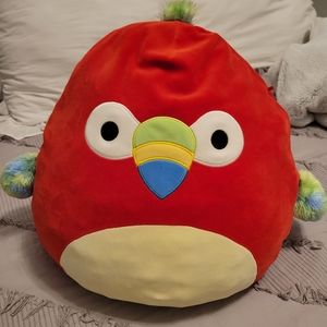 Squishmallow Paco the Red Parrot